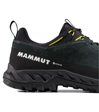 Обувки Mammut Alnasca IV Low LTH GTX Men