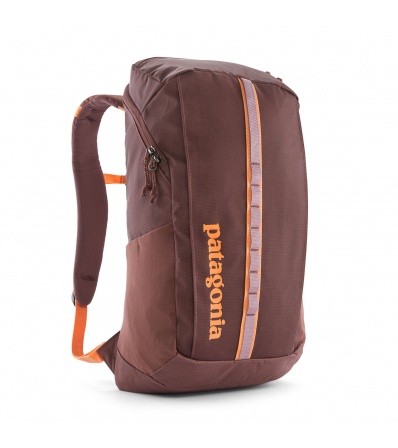 Patagonia Black Hole Pack 25L Summer 2025