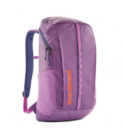 Patagonia Black Hole Pack 25L Summer 2025