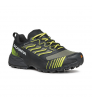 Scarpa Ribelle Run XT GTX W's
