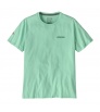 Patagonia Fitz Roy Icon Responsibilitee T-shirt