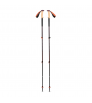 Black Diamond Trail Cork Trekking Poles