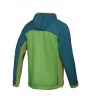 Direct Alpine Alpha Jacket 4.0 M's